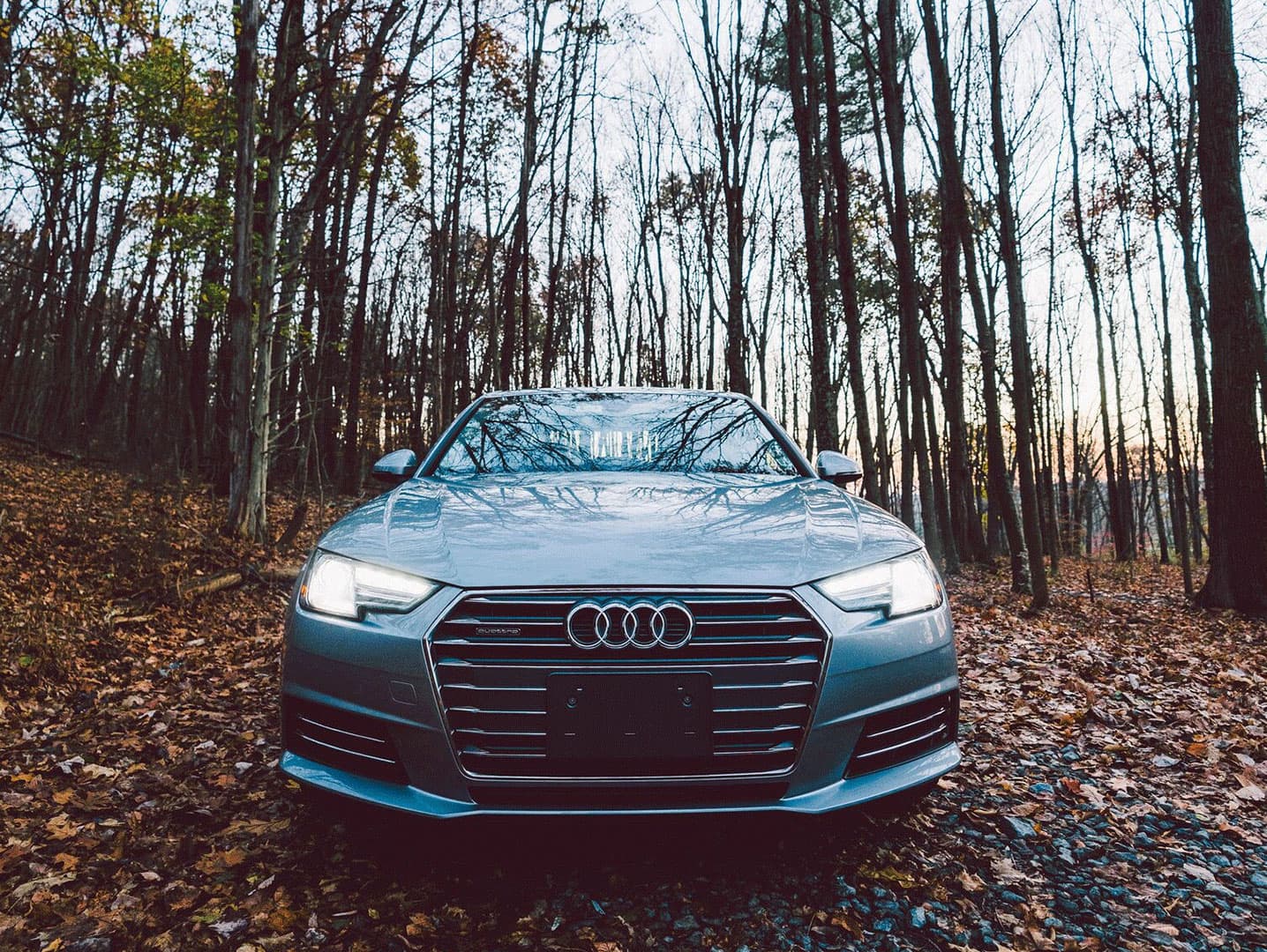 Silver Audi A4 parked in an autumn forest with fallen leaves surrounding the vehicle